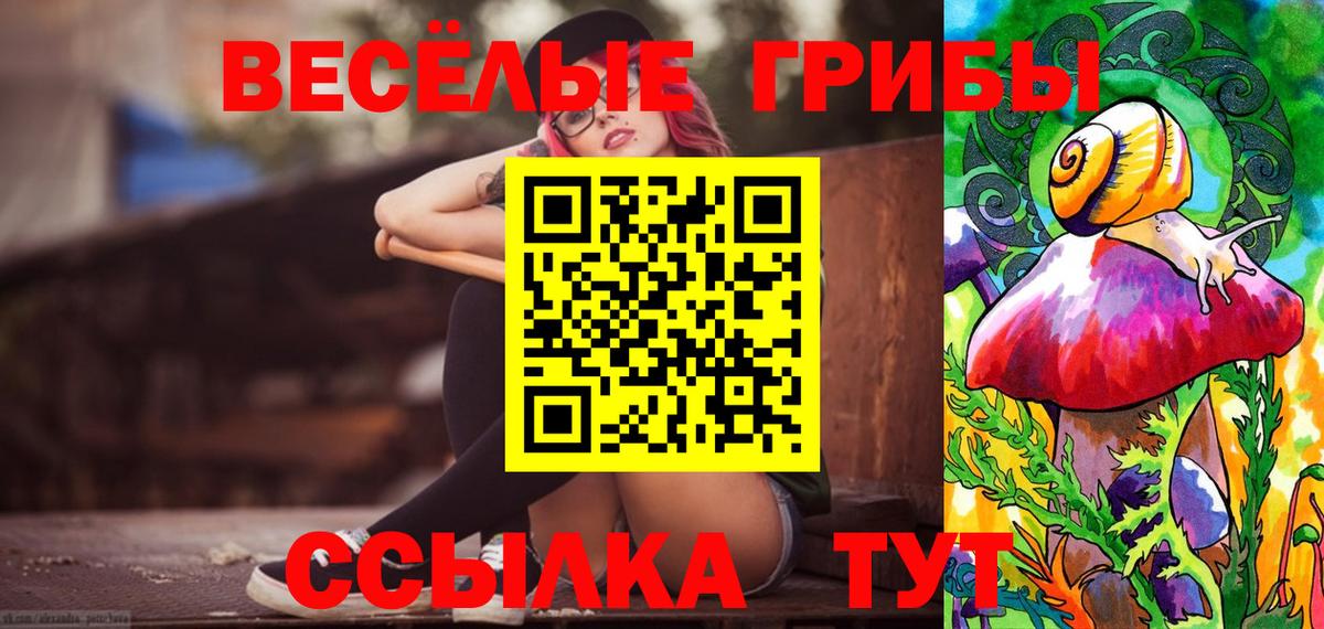 Псилоцибиновые грибы Psilocybe Дагестанские Огни