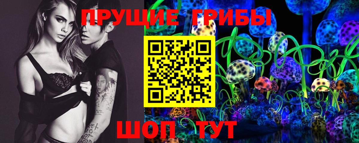 Дагестанские Огни  Псилоцибиновые грибы Psilocybe  Вход с VPN 